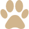 paw-icon