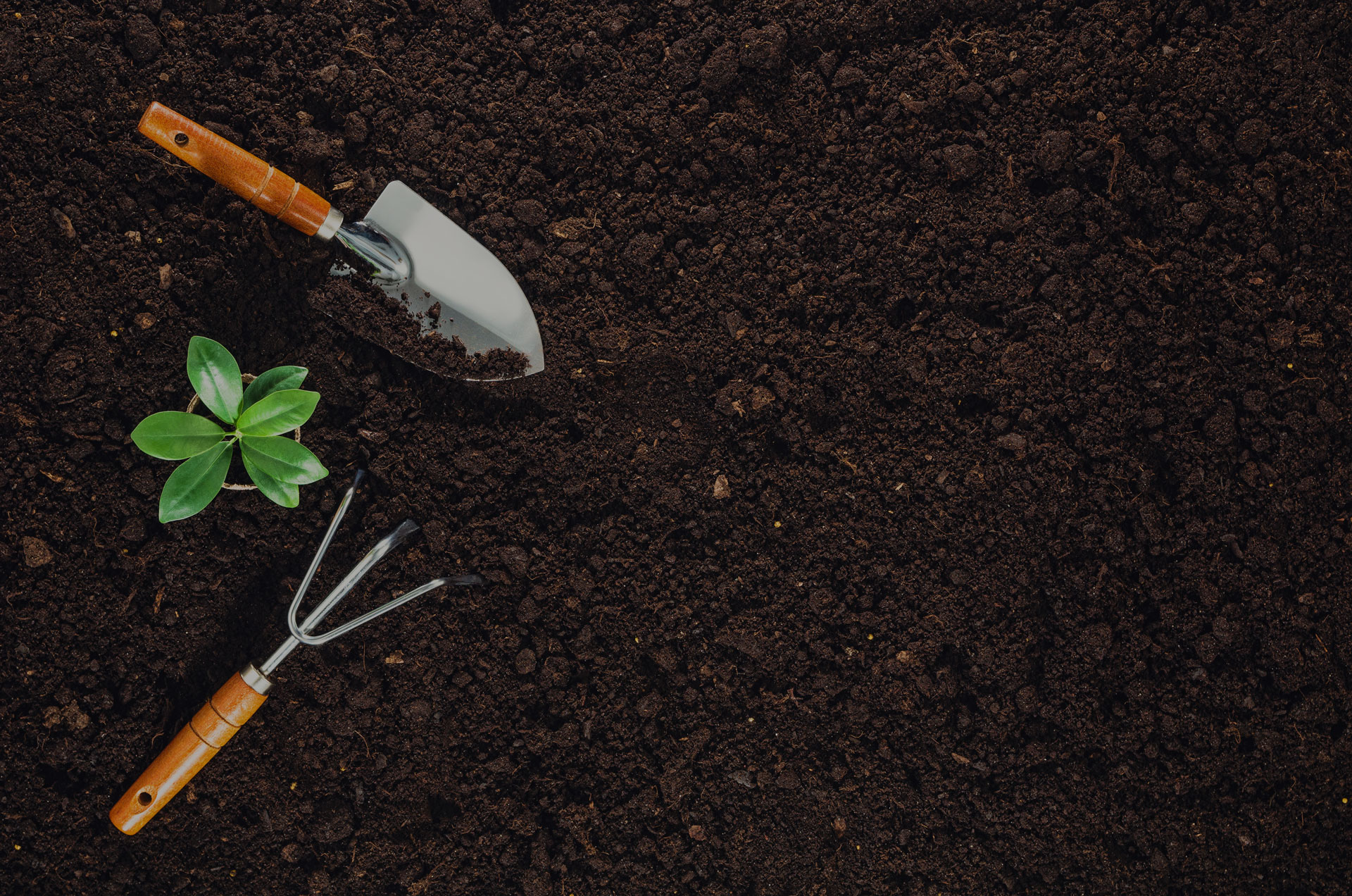 Gardening tools on fertile soil texture background seen from above, top view.